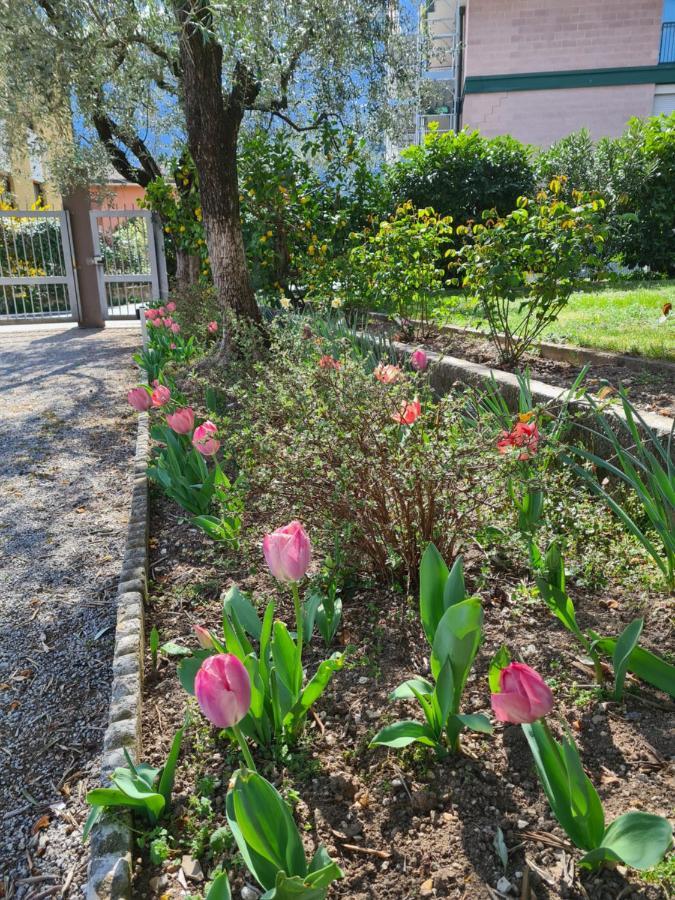 Апартаменты Le Peonie Рива-дель-Гарда Экстерьер фото